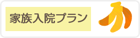 家族入院プラン